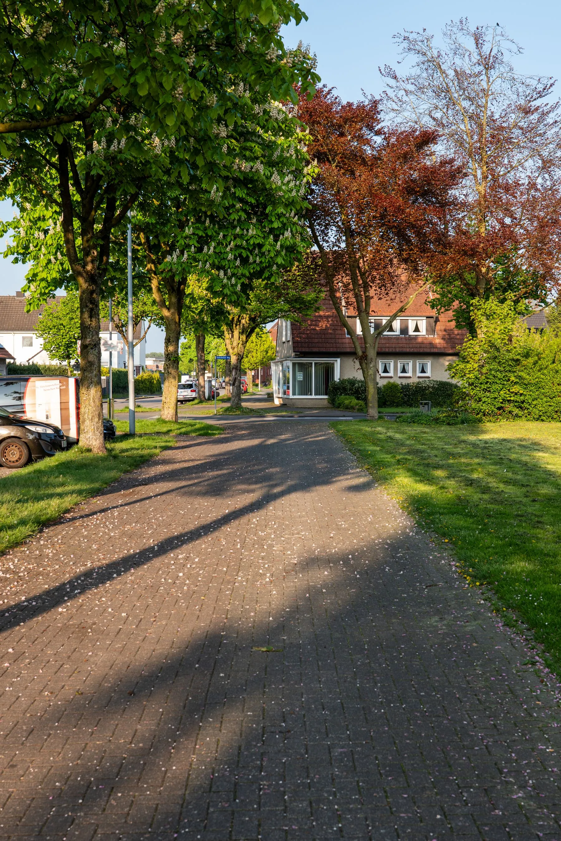 Residential street with older houses and mature trees in a small Wisconsin city